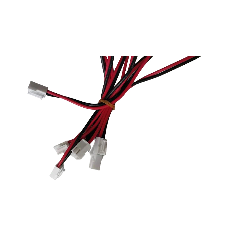 Lithium Iron Phosphate Battery Pack